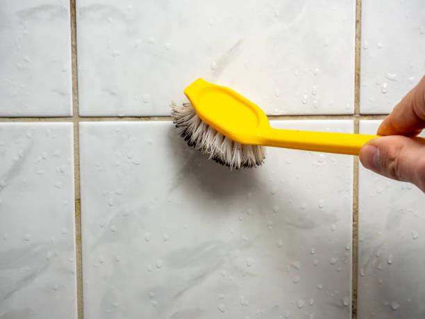 Best Localized Mold Remediation (e.g., coastal areas, humid climates) in Sharpes, FL