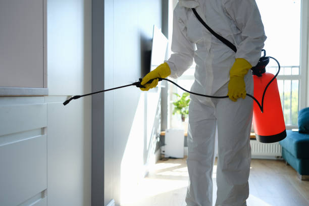 Best Health and Safety Mold Remediation in Sharpes, FL